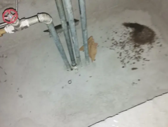 闵行卫生间测漏水价格明细