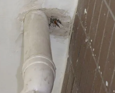 闵行漏水检测哪家好